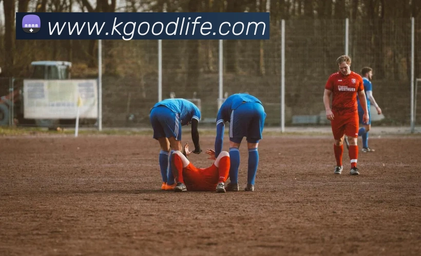 多彩内容专区